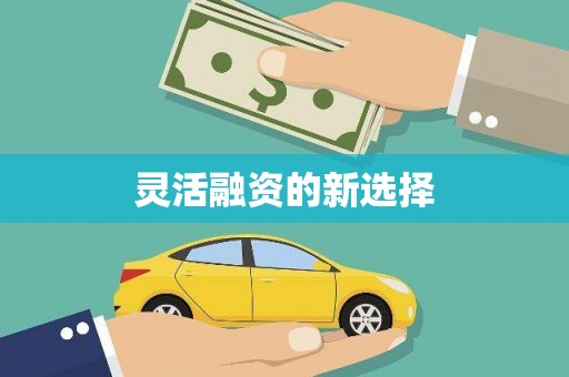 启东灵活融资的新选择