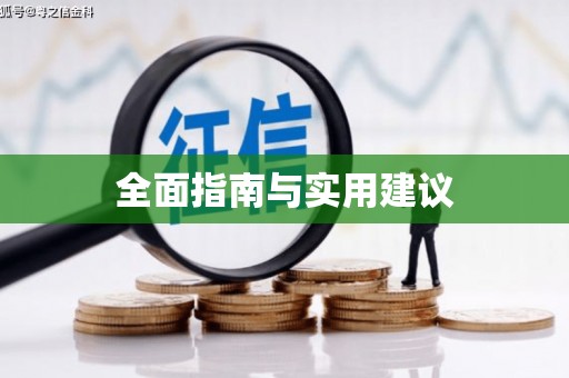 启东全面指南与实用建议