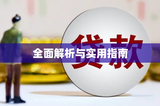 启东全面解析与实用指南