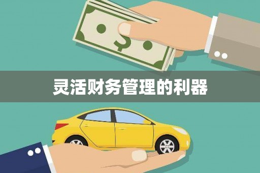 启东灵活财务管理的利器