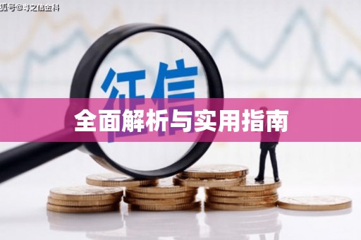 启东全面解析与实用指南