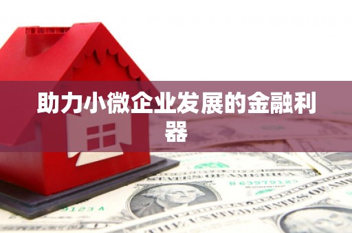 启东助力小微企业发展的金融利器