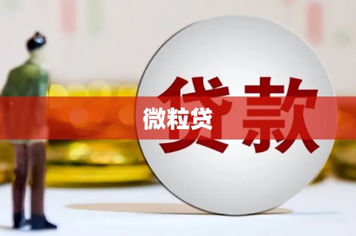 启东微粒贷