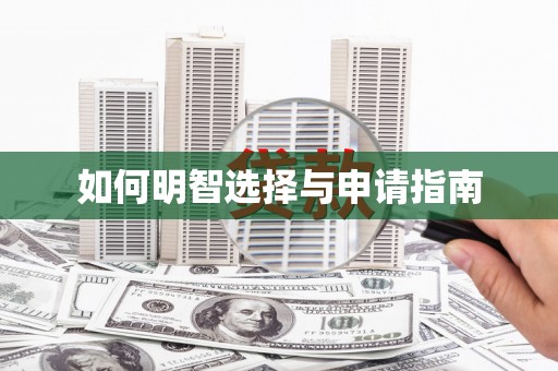 启东如何明智选择与申请指南