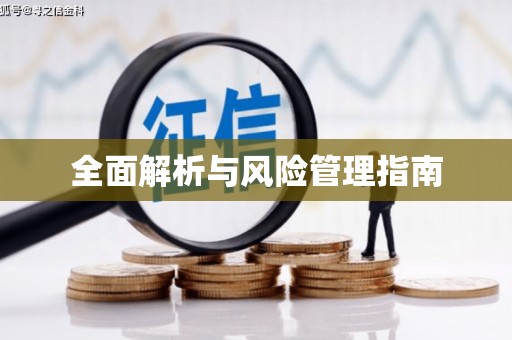 启东全面解析与风险管理指南