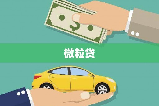 启东微粒贷