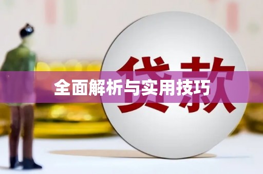 启东全面解析与实用技巧