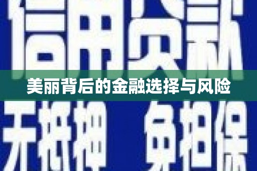 启东美丽背后的金融选择与风险