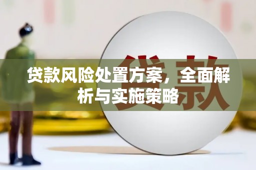 启东贷款风险处置方案，全面解析与实施策略
