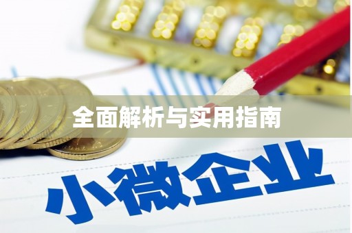 启东全面解析与实用指南