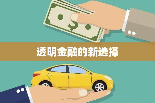 启东透明金融的新选择