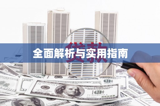 启东全面解析与实用指南