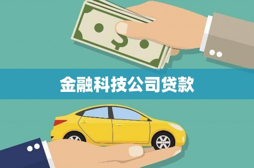 启东金融科技公司贷款