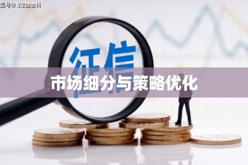 启东市场细分与策略优化