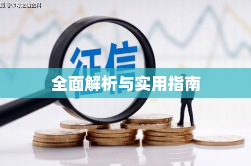 启东全面解析与实用指南
