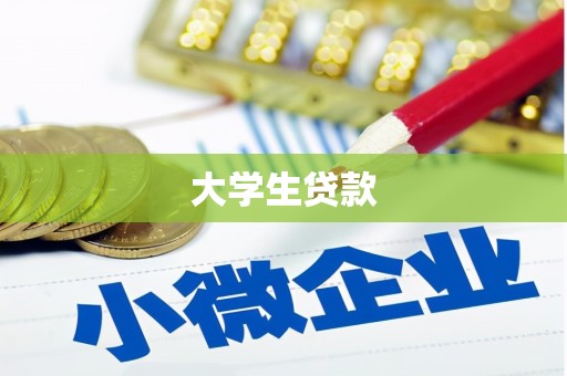 启东大学生贷款