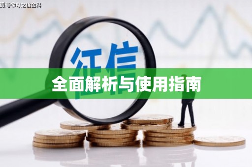 启东全面解析与使用指南