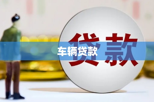 启东车辆贷款