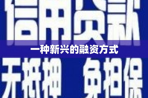 启东一种新兴的融资方式