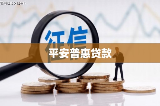 启东平安普惠贷款