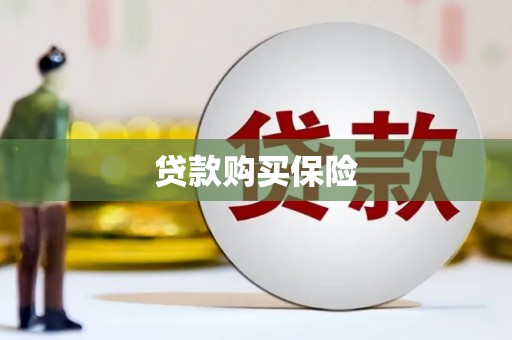 启东贷款购买保险